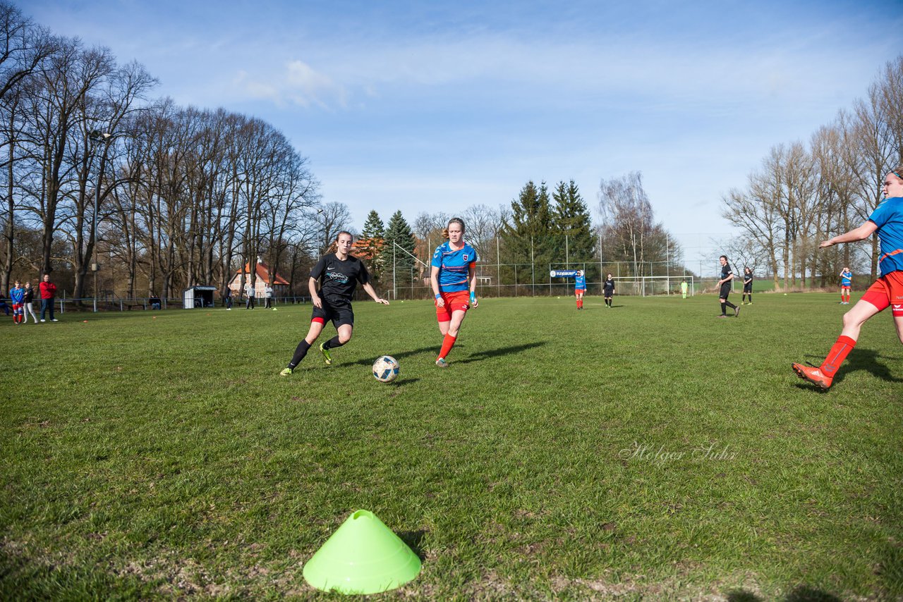 Bild 267 - C-Juniorinnen SV Steinhorst/Labenz - TSV Friedrichsberg-Busdorf : Ergebnis: 5:0